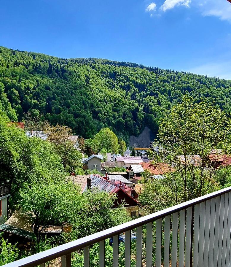 Sara Apart Belleview Sinaia Exteriér fotografie